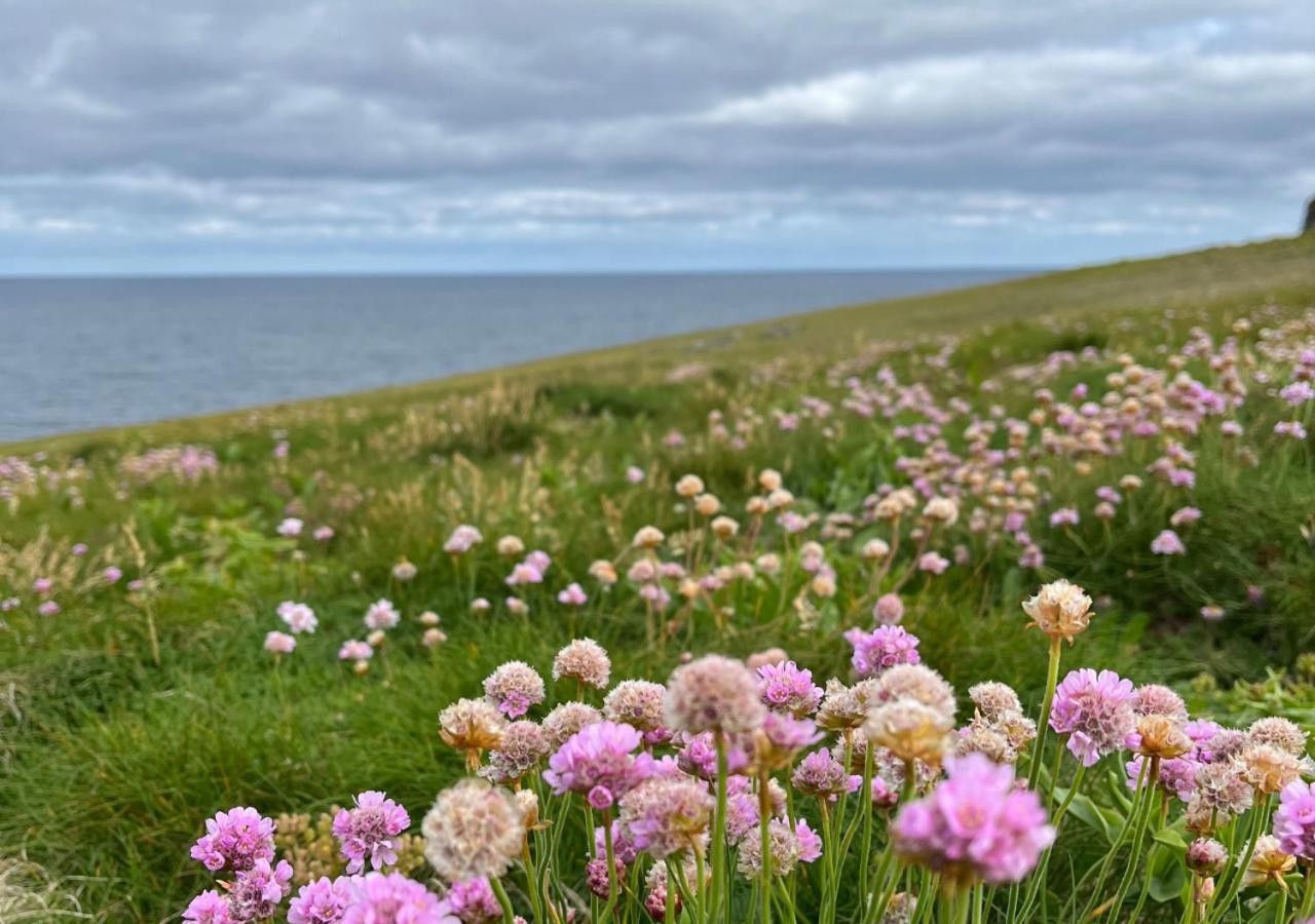Loop Head Lighthouse Attendant'S Cottage Kilbaha المظهر الخارجي الصورة